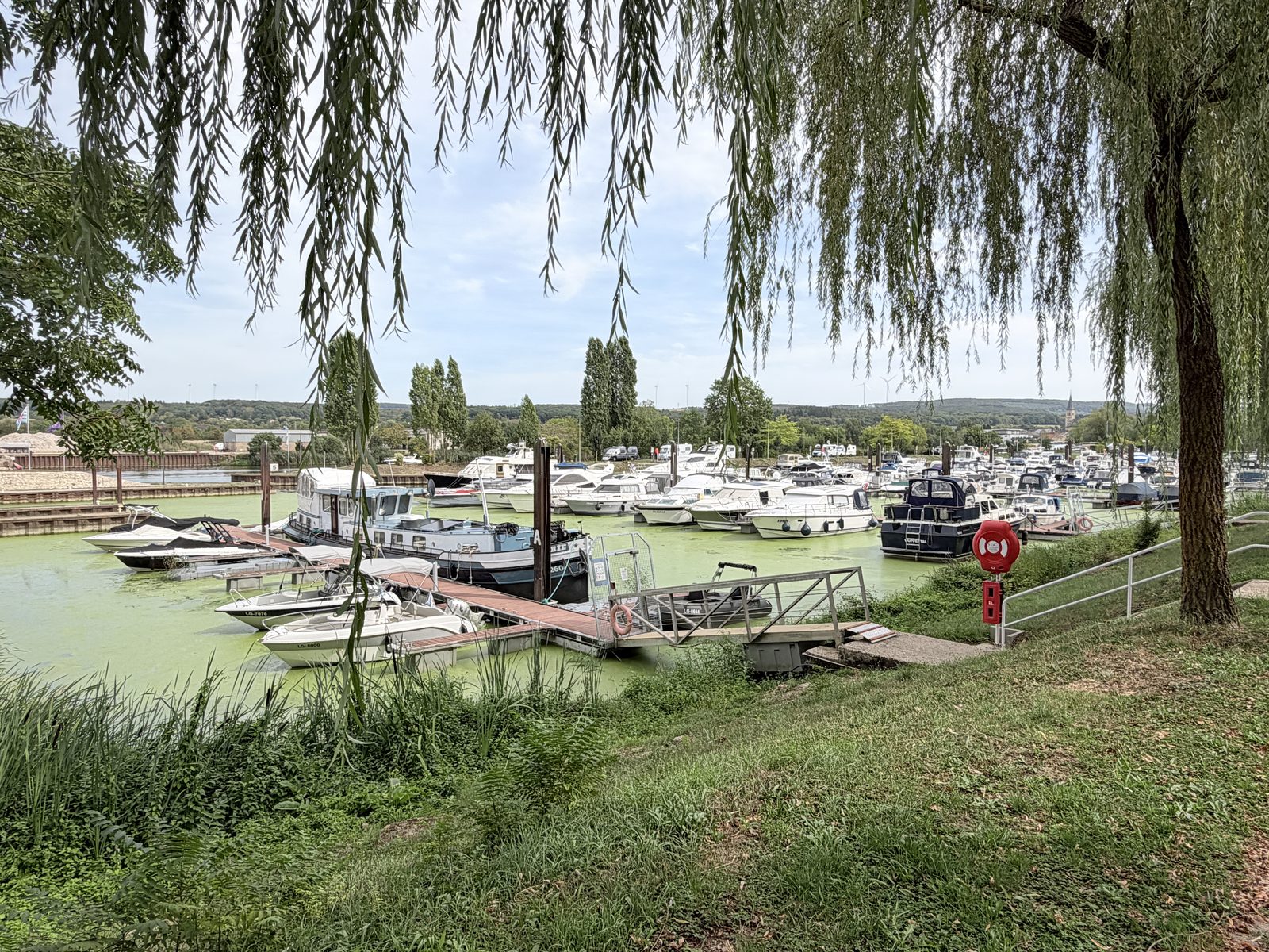 Liegeplätze an einem Schwimmsteg, im Vordergrund eine Péniche, gerahmt von einer Trauerweide