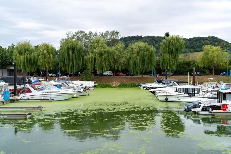 Yachthafen an der Luxemburger Mosel mit vertäuten Motorbooten