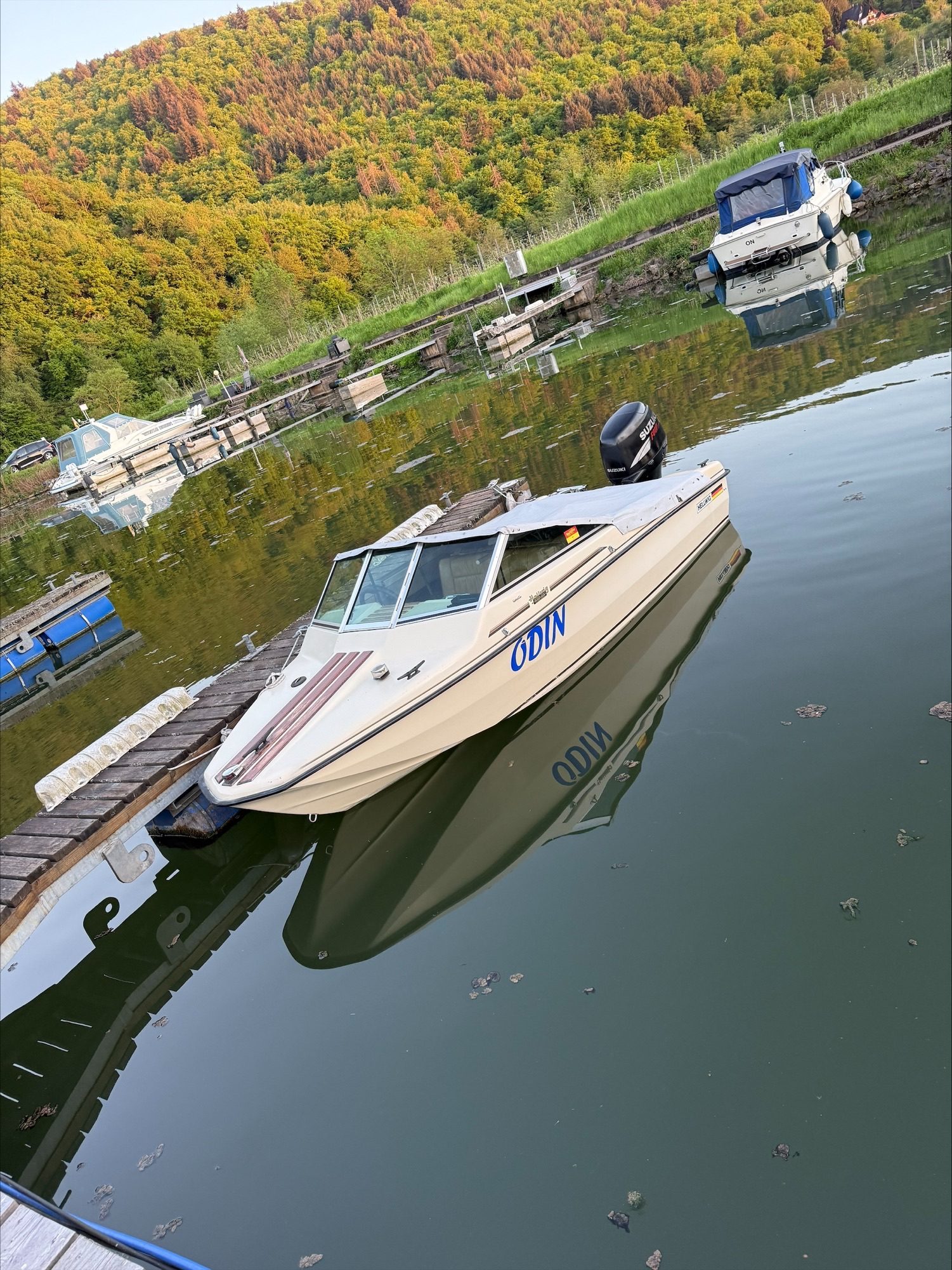 Hellwig Triton — Schweich